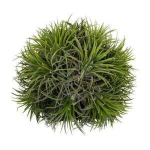 Tillandsia Magic Ball - Ø20cm - ↕25cm