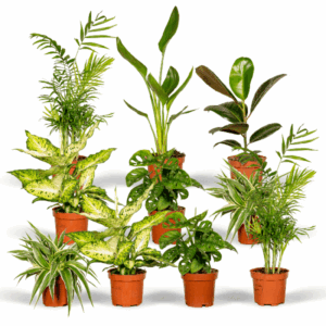 Verrassingsbox - Ø12cm - ↕25cm - x10