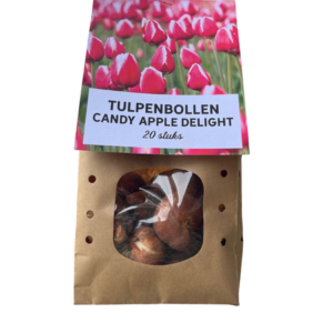 Tulpenbollen Candy Apple Delight – 20 Stuks | KH Bloembollen® | Rood-Witte Tulp – Frisse & Vrolijke Mix – Cadeau voor Tuin of Pot – Maat 11/12 – Vers van de Teler!