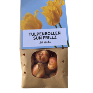 Tulpenbollen Sun Frillz – 20 Stuks | KH Bloembollen® | Gele Tulp met Kartelrand – Zonnig, Uniek & Speels – Voor Tuin of Pot – Maat 11/12 – Vers van de Teler