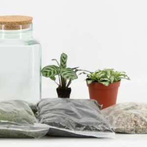 Terrarium Arrangement (DIY) - Ø13cm - ↕25cm
