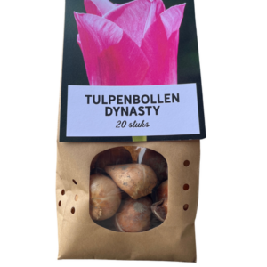 Tulpenbollen Dynasty – 20 Stuks | KH Bloembollen® | Roze Tulp – Elegant & Vol – Voor Tuin of Pot – Maat 11/12 – Vers van de Teler