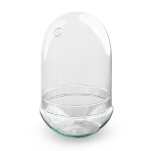 Terrarium fles - Egg XL - ↑ 30 cm - Bottle Garden