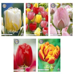 Tulipa - Bloembollen Mix (1) - 5 soorten - 47 bollen