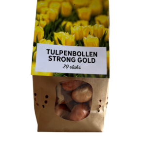 Tulpenbollen Strong Gold – 20 Stuks | KH Bloembollen® | Gele Tulp – Stralend & Krachtig – Voor Tuin of Pot – Maat 11/12 – Vers van de Teler