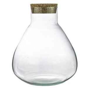 Terrarium bottle - Model: Sammie - Bottle Garden ↑ 26,5 cm