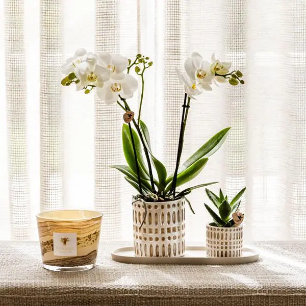 Kolibri Home | Mozaïek sierpot - Ø9cm - Afbeelding 3