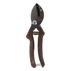 Snoeischaar - Aambeeld - COCO - ECO Friendly