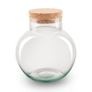 Terrarium fles met kurk - Noah - ↑ 20 cm